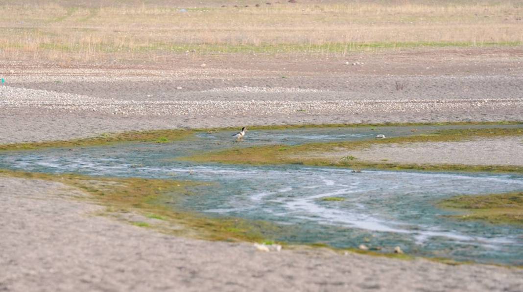 İklim değişikliği Diyarbakır’daki Kabaklı Göleti’ni kuruttu 7